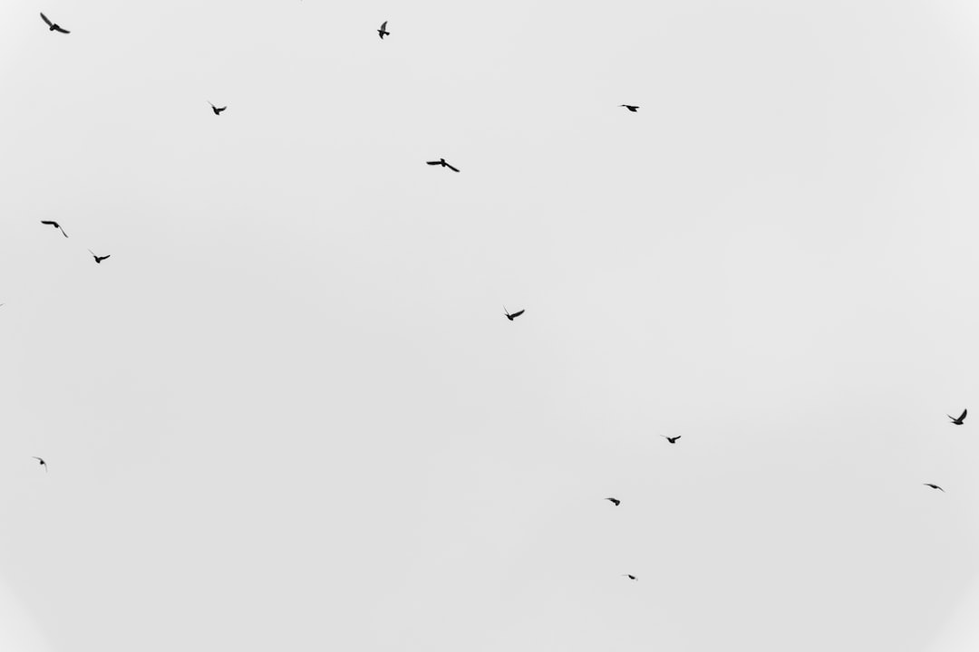 kosten pro impression (cpi) ist eine werbemetrik, die die kosten für jede anzeige oder jeden werbeeinblendung misst, um die effizienz und reichweite von kampagnen zu bewerten.